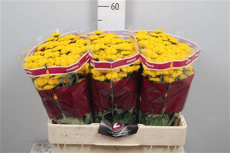 <h4>Chr S Aaa Aurinko</h4>