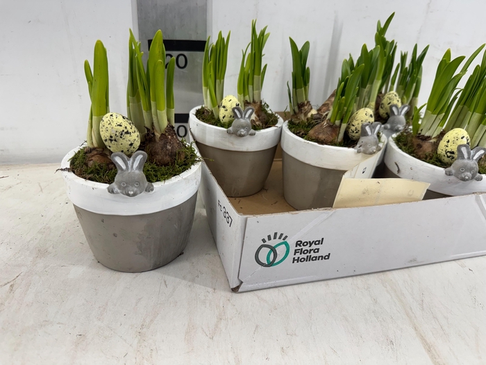 <h4>ARR N TETE A TETE</h4>