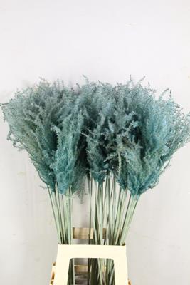 Df Miscanthus 90cm Light Blue