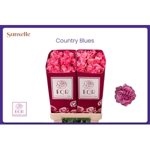 R GR COUNTRY BLUES