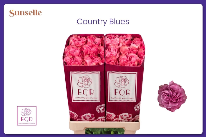 <h4>R GR COUNTRY BLUES</h4>