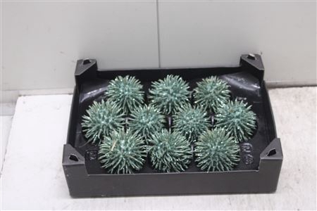 <h4>F-stekel Topline Pastel Groen</h4>