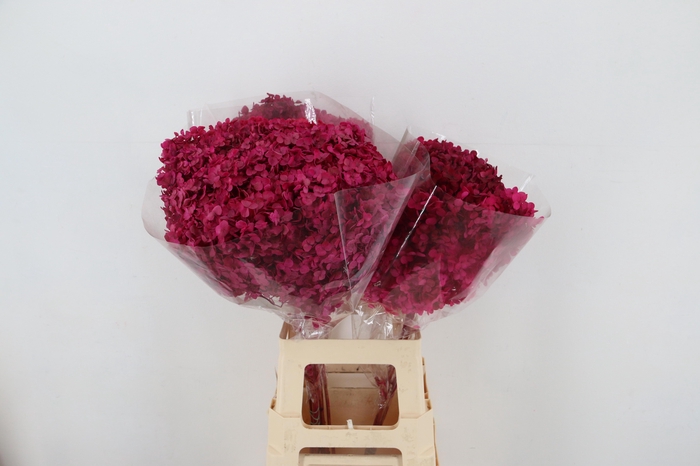 <h4>DROOGBL BEWERKT H%</h4>