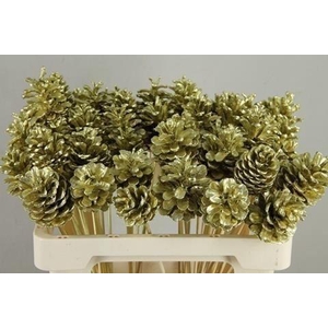 Stick pine cone gold