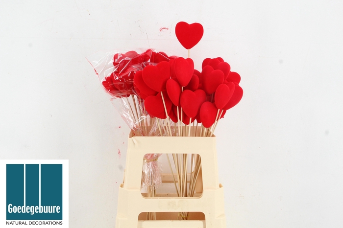 <h4>HARTJE OP STOK H%</h4>