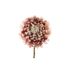 Chrysanthemum Cream Pink FL440197CPK