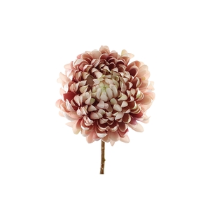 Chrysanthemum Cream Pink FL440197CPK