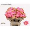 Rosa Spray Garden Julietta Pretty Pink