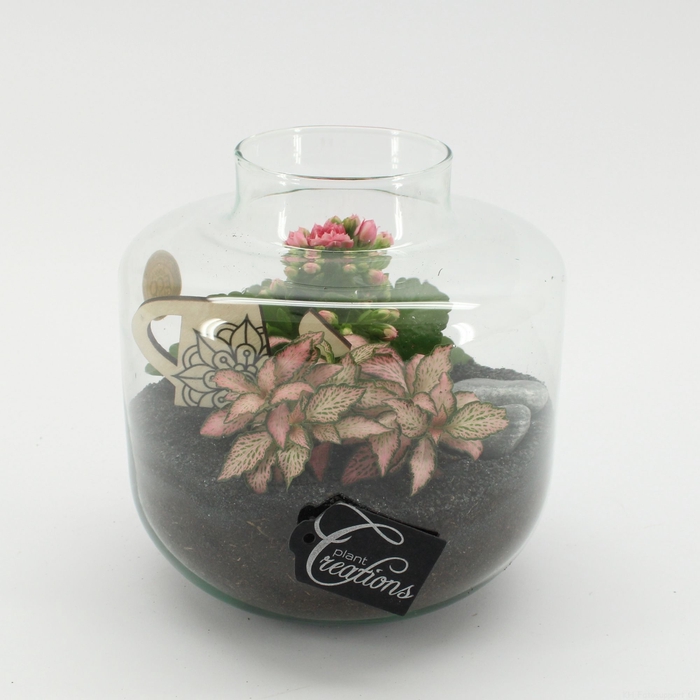 <h4>Opm ESCR-2532RZ Essentials Terrarium</h4>