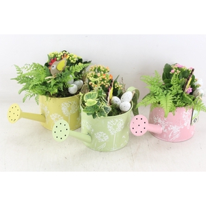 arr2 JS - Zink gieter pastel mix - mix