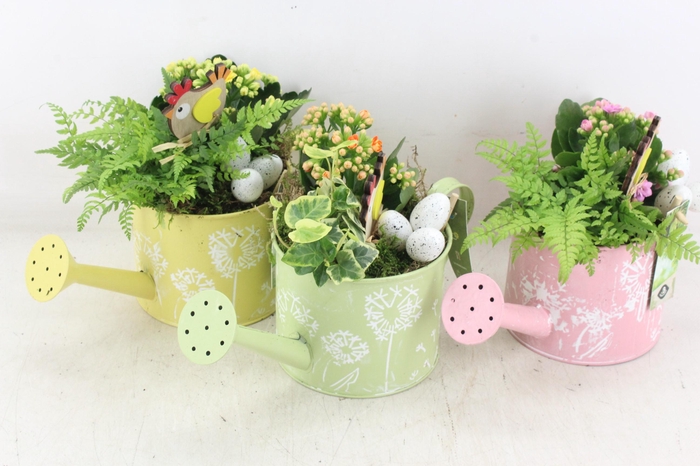 <h4>arr2 JS - Zink gieter pastel mix - mix</h4>