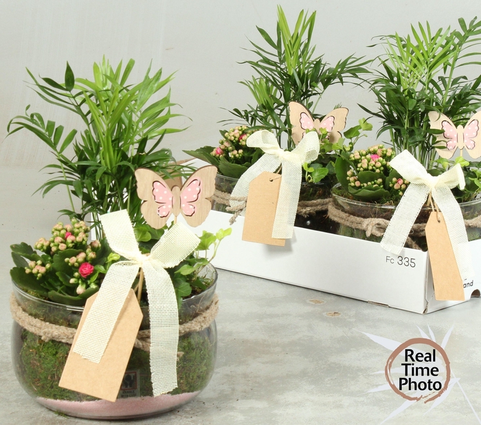 <h4>ARR KAMERPL</h4>