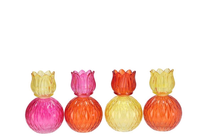 <h4>Bicolore Dutch Orange Mix Tulip T-light Ass 11x17cm</h4>