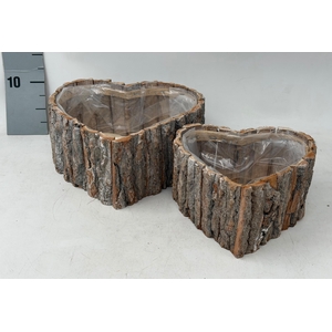 HOUT H%