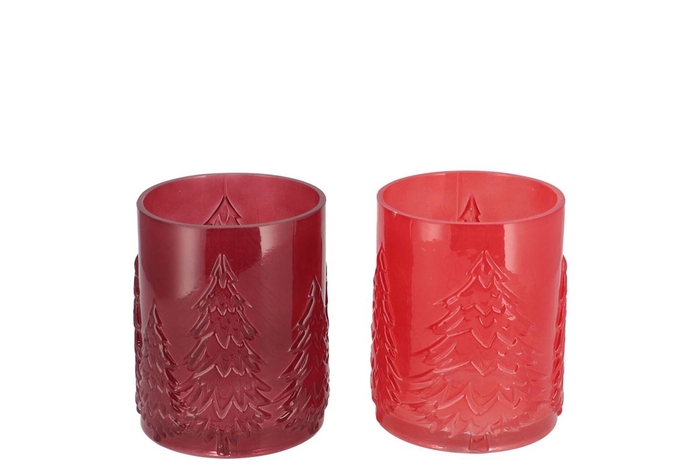 <h4>Ruby Jolly Red T-light Forrest Ass 11x14cm</h4>