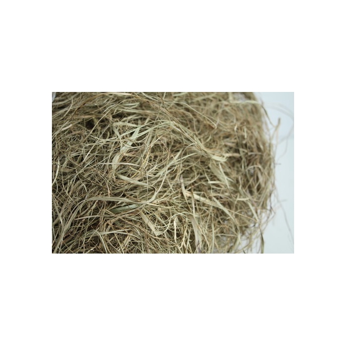 <h4>SEAGRASS 500GR</h4>