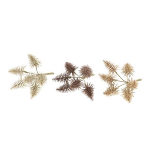 BUNCH TREE NOBILIS H4 PICK 6PCS