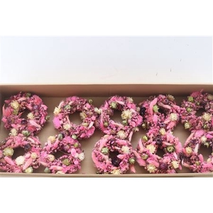 WR FLEURIE PINK MIX 15CM