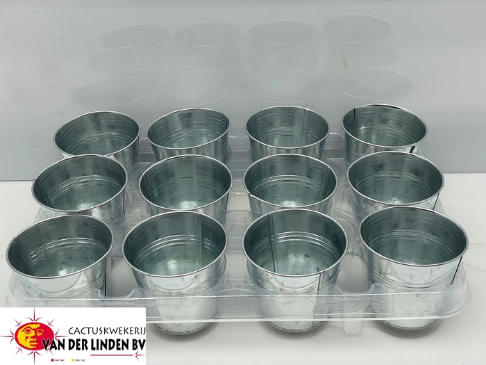 <h4>HUIS EN TUINDECO H%</h4>