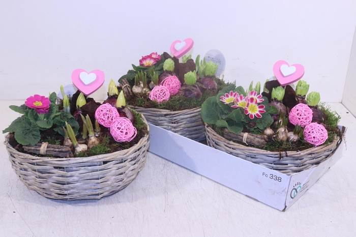 <h4>ARR TUINPLANTEN</h4>