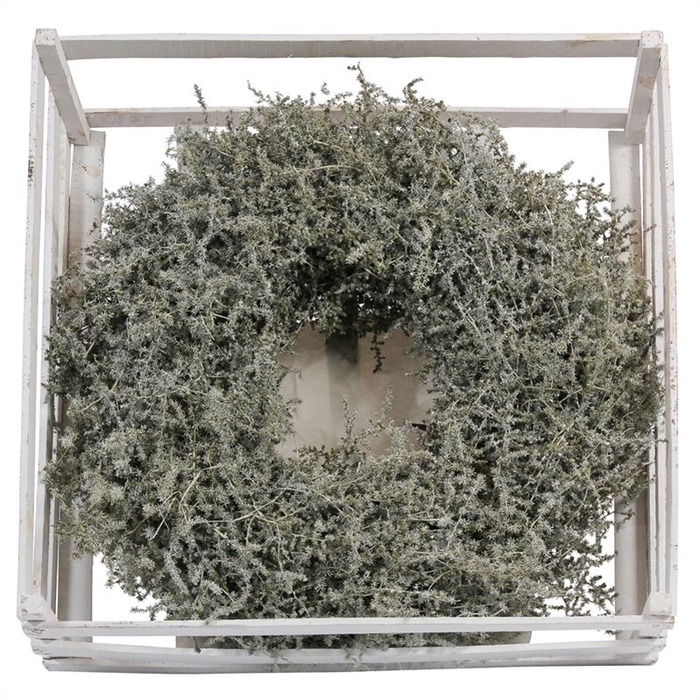 <h4>Krans Asparagus Wax</h4>