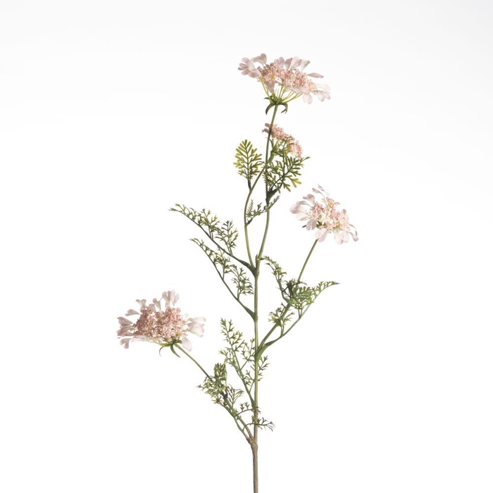 <h4>AF Daucus Carota L96cm L.Pink</h4>