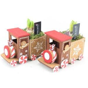 arr4 Hyacint RN - Christmas express