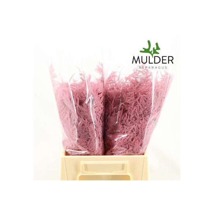 <h4>ASP OV KLB H%</h4>