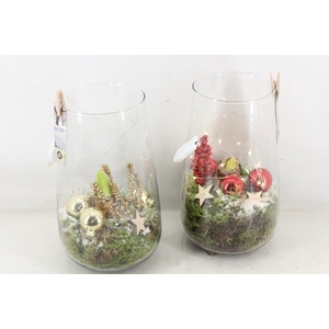 arr4 Amaryllis JS - Glas roma x3 MIX led