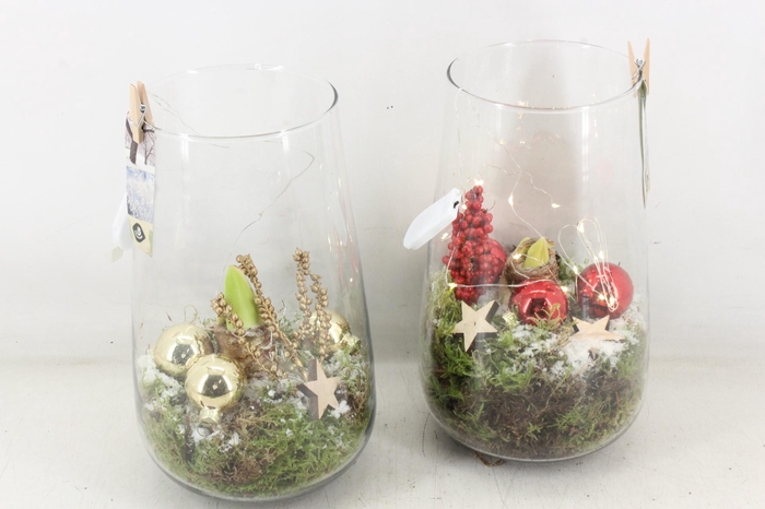 <h4>arr4 Amaryllis JS - Glas roma x3 MIX led</h4>