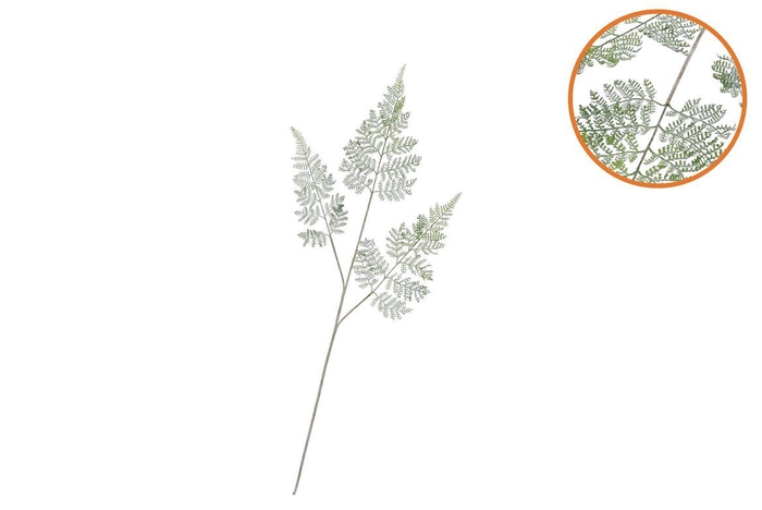 <h4>Silk Fern Forest Green Snowy 86cm Nm</h4>