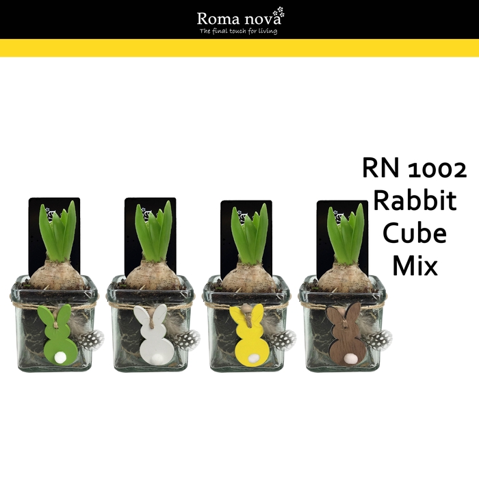 <h4>Hya Rom 1002 Rabbit Cube Mix</h4>