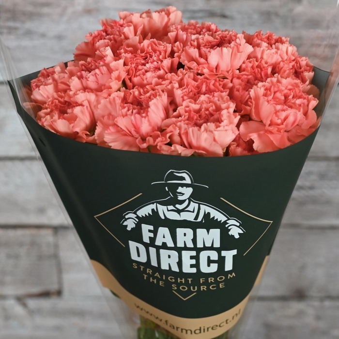 <h4>DI ST ORANGE FLAME</h4>