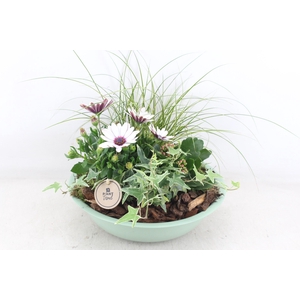 arr4 Outdoor PL - Zink schaal groen Los