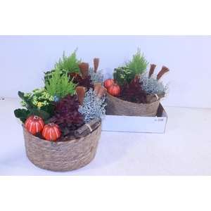 ARR TUINPLANTEN