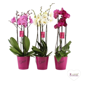 Deco mix - 3/4 tak