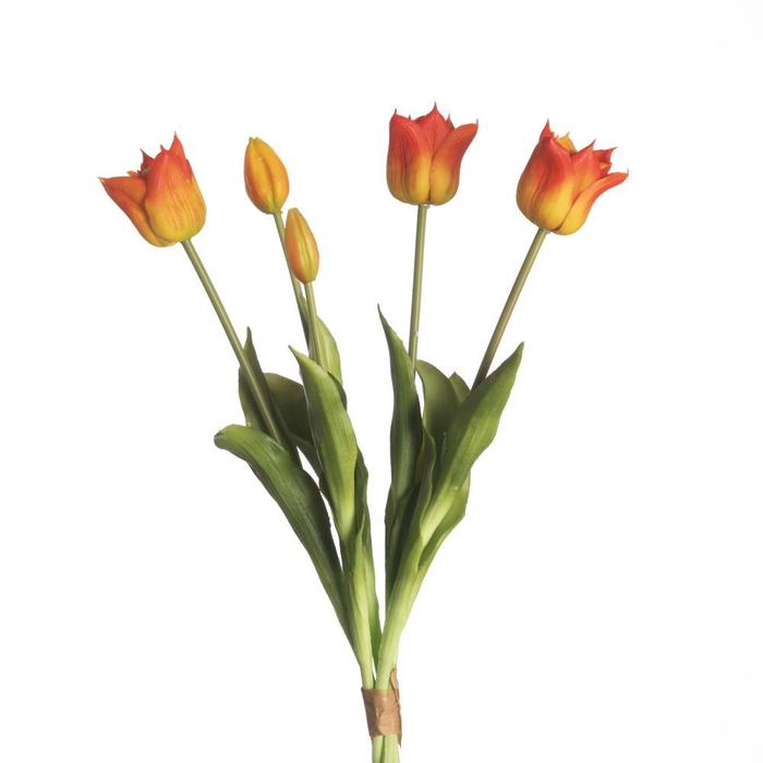 <h4>AF Tulip Bundle x5 L45cm Orang</h4>