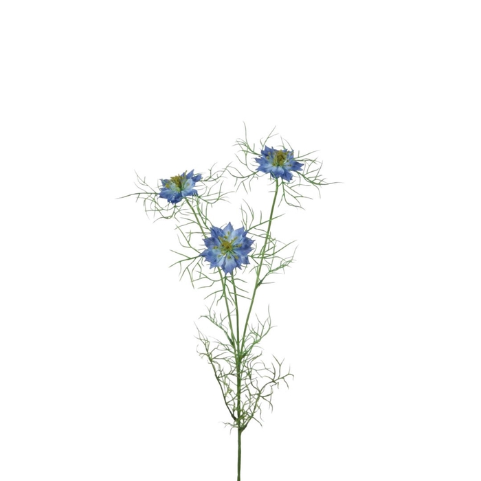 <h4>Nigella 62cm</h4>