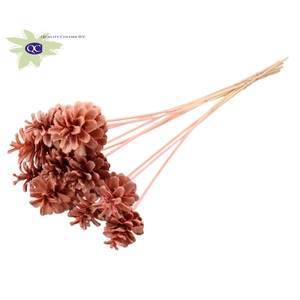 Pine cone 5-7cm on stem Intense Pink