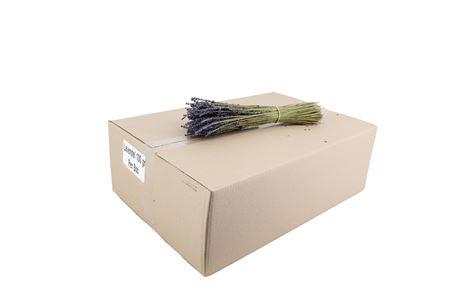 <h4>Housses 52x35x10cm OPP40 Kraftline rose</h4>
