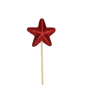 Christmas sticks 50cm Star d6cm