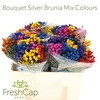 Bouquet Silver Brunia Mix Colours