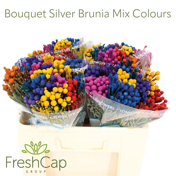 <h4>Bouquet Silver Brunia Mix Colours</h4>