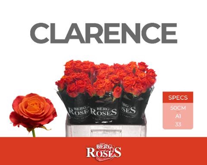 <h4>Rs gr Clarence+</h4>