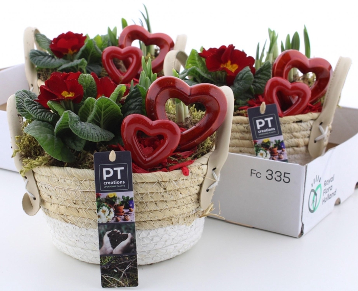 <h4>ARR PL IN SCHAAL</h4>