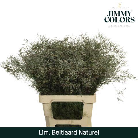 <h4>Lim Bel L70 Naturel</h4>