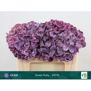 HYDR M MAG SWEE RUBY