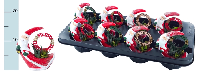 <h4>ARR KERST</h4>
