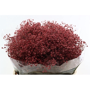 Gyps Grof Bordeaux Glitter (dip)