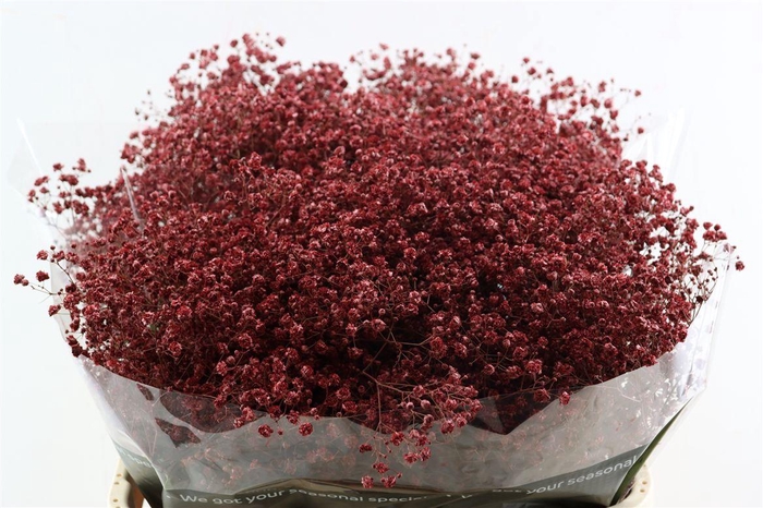 <h4>Gyps Grof Bordeaux Glitter (dip)</h4>